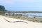 Eulittoral Zone at Low Tide - Rocky and Sandy Pristine Beach and Clear Blue Sky - Sunset Point, Laxmanpur, Neil Island, Andaman