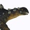 Euoplocephalus Ankylosaur Neck