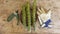 Euphorbia neriifolia cuttings with gardening tools