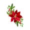 Euphorbia Red Flower Arranged with Fir Tree Twigs and Red Berries Branch Vector Illustration