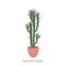 Euphorbia trigona isolated on a white background. Cute cactus. Vector illustration in cartoon style