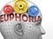 Euphoria and human mind - pictured as word Euphoria inside a head to symbolize relation between Euphoria and the human psyche, 3d