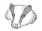 Eurasian Badger Cartoon Retro Drawing