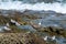 Eurasian Curlew, numenius arquata, and sandpipers searching for food along a rocky coast, Costa Calma, Fuerteventura