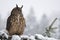 Eurasian Eagle Owl sitting on coniferous tree