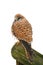 Eurasian Kestrel Falco tinnunculus