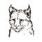 Eurasian lynx baby tabby, medium-sized wild cat isolated sketch t-shirt print, monochrome design. Vector illustration of lynx-lynx