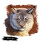 Eurasian lynx medium-sized wild cat from Europe, Central Asia and Siberia. Digital art illustration of lynx-lynx animal hand drawn