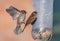 Eurasian Tree Sparrows fights in air near a feeder