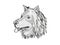 Eurasier or Eurasian Spitz  Dog Breed Cartoon Retro Drawing
