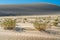 Eureka Sand Dunes Valley, Death Valley National Park, California