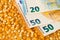 Euro banknotes on corn or maize kernels background - corn cost or prize concept
