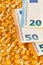 Euro banknotes on corn or maize kernels background - corn cost or prize concept