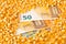 Euro banknotes covered with corn or maize kernels - corn cost or prize concept