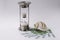 EURO banknotes, hourglass and seashell on white background. Concept - time to travel