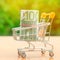 Euro banknotes in a supermarket trolley. Money Management. Money market. Sale, discounts and low prices. Gift certificate for