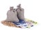 Euro banknotes among wheat grains under the sacks of grain on white background. Agricultural job, price change concept