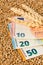 Euro banknotes on wheat kernel background with wheat ears - wheat cost or prize concept