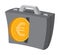 Euro coin or money entering Business portfolio