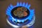 Euro coins on top of gas hob. Gas stove with money. Expensive natural gas