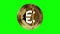 Euro cryptocurrency golden coin isolated loop on green screen