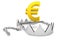 Euro currency with bear trap