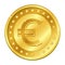 Euro currency gold coin with stars. Vector illustration isolated on white background. Editable elements and glare. Casino game.