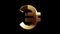 Euro currency icon and EUR money metal symbol loop rotating