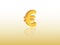 Euro currency symbol vector of the European Union using golden color on yellow background