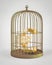 Euro inside bird cage