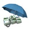 Euro Notes Umbrella