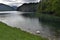 Europe Germany nice lake with swans