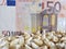 Europe, maize producing zone, dry corn grains and european banknote of fifty euro