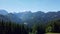 European Alps in Slovenia, a bronze dragon statue on pole at the end of clip, mountain landscape, forest and alpine