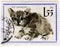 European baby cat on a vintage post stamp