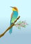 European bee-eater illustration