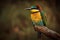 European bee-eater, multicolored bird on a branch, generated ai image