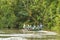 European Biologists In The Canoe