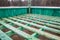 European bison and forest game new empty feeding rack in Bialowieza, Poland, partly snow, green hayrack, cloudy winter day