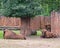 European Bison in zoo