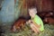European boys play with Red pigs of Duroc breed. Newly born. Rural swine farm