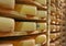 European cheese wheels refining cellar on traditional spruce wooden shelves