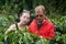 European couple on coffee plantation in Costa Rica