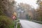 European curve roadsign on a forest asphalted road with its typical standard triangle sign indicating a curvy path ahead.