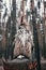 European eagle owl is sitting on a tree. Close-up. Vertical portrait of a nocturnal predator bird. Orange eyes