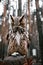 European eagle owl is sitting on a tree. Close-up. Vertical portrait of a nocturnal predator bird. Orange eyes