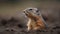 European Ground Squirrel Portrait, Made with Generative AI