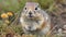 European Ground Squirrel Portrait, Made with Generative AI