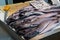 European hake merliccius merluccius on fishmonger`s market stall