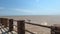 The European herring gull, Seagull on the beach pier railing.